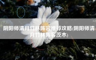 阴阳师清月竹林阵容推荐攻略(阴阳师清月竹林阵容茨木)