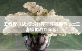 王者模拟战3吴2群4稷下阵容推荐(2022王者模拟战T0阵容)