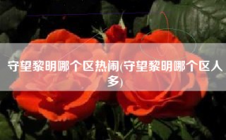 守望黎明哪个区热闹(守望黎明哪个区人多)
