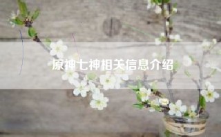 原神七神相关信息介绍