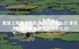 重装上阵新手教程最后一关怎么过(重装上阵新手教程最后一关怎么过)