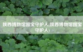 陕西博物馆国宝守护人(陕西博物馆国宝守护人)