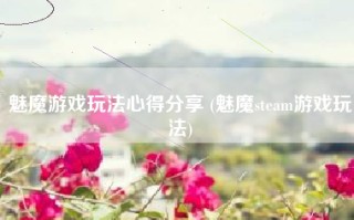 魅魔游戏玩法心得分享 (魅魔steam游戏玩法)