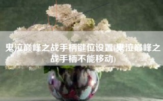 鬼泣巅峰之战手柄键位设置(鬼泣巅峰之战手柄不能移动)