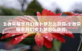 王者荣耀芈月幻夜卜梦怎么获得(王者荣耀芈月幻夜卜梦怎么获得)
