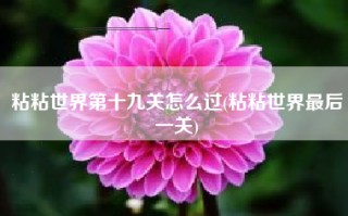 粘粘世界第十九关怎么过(粘粘世界最后一关)