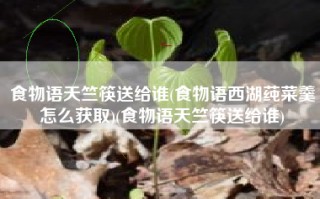 食物语天竺筷送给谁(食物语西湖莼菜羹怎么获取)(食物语天竺筷送给谁)