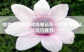 绝地求生刺激战场星钻厉不厉害(星钻上分技巧推荐)
