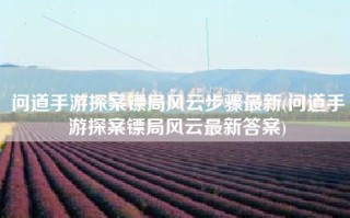 问道手游探案镖局风云步骤最新(问道手游探案镖局风云最新答案)