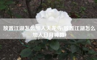 放置江湖怎么加入天龙寺(放置江湖怎么加入日月神教)