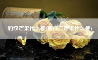 豹纹芒果什么梗(前任三芒果什么梗)