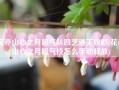 花亦山心之月怒气队四艺通关攻略(花亦山心之月怒气技怎么手动释放)