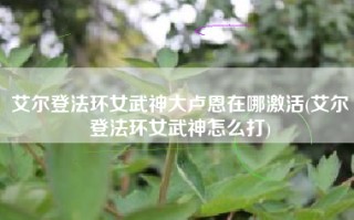 艾尔登法环女武神大卢恩在哪激活(艾尔登法环女武神怎么打)