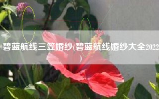 碧蓝航线三笠婚纱(碧蓝航线婚纱大全2022)