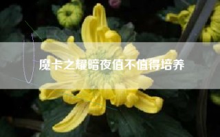 魔卡之耀暗夜值不值得培养