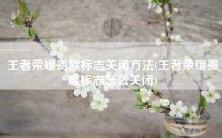 王者荣耀贵族标志关闭方法(王者荣耀贵族标志怎么关闭)