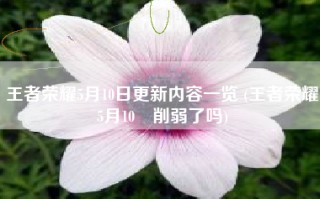 王者荣耀5月10日更新内容一览 (王者荣耀5月10暃削弱了吗)