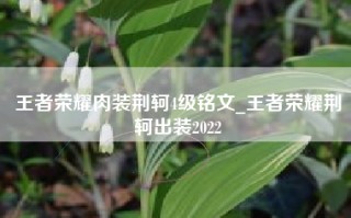 王者荣耀肉装荆轲4级铭文_王者荣耀荆轲出装2022