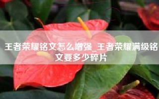 王者荣耀铭文怎么增强_王者荣耀满级铭文要多少碎片
