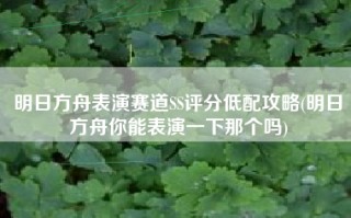 明日方舟表演赛道SS评分低配攻略(明日方舟你能表演一下那个吗)