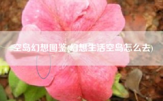 空岛幻想图鉴(幻想生活空岛怎么去)