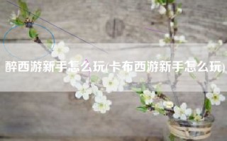 醉西游新手怎么玩(卡布西游新手怎么玩)