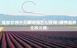 魔兽世界小元螺宠物怎么获得 (魔兽世界无核元螺)