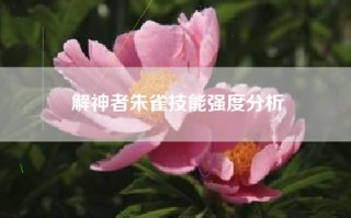 解神者朱雀技能强度分析