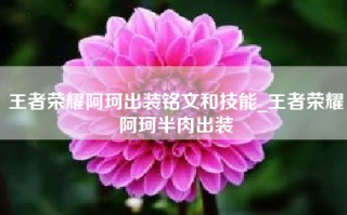 王者荣耀阿珂出装铭文和技能_王者荣耀阿珂半肉出装