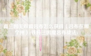 真三国无双霸吕布怎么获得（吕布在哪个州）(铁杆三国魔吕布战法)