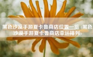 黑色沙漠手游夏卡鲁商店位置一览 (黑色沙漠手游夏卡鲁商店幸运排列)