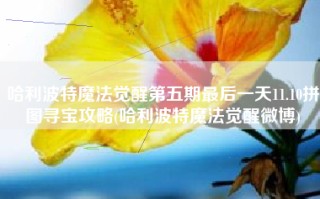 哈利波特魔法觉醒第五期最后一天11.10拼图寻宝攻略(哈利波特魔法觉醒微博)