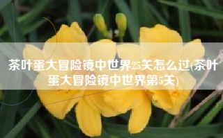 茶叶蛋大冒险镜中世界25关怎么过(茶叶蛋大冒险镜中世界第5关)