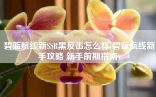 碧蓝航线新SSR黑反击怎么样(碧蓝航线新手攻略 新手前期指南)