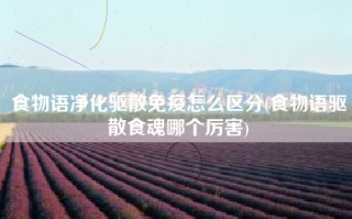 食物语净化驱散免疫怎么区分(食物语驱散食魂哪个厉害)