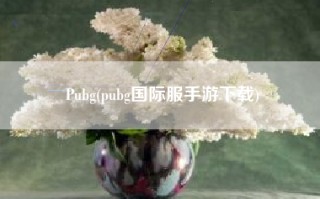 Pubg(pubg国际服手游下载)