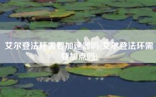 艾尔登法环需要加速器吗(艾尔登法环需要加点吗)