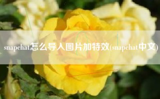 snapchat怎么导入图片加特效(snapchat中文)