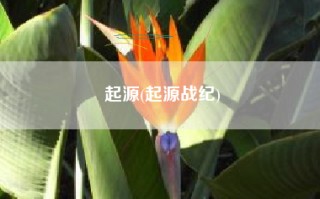 起源(起源战纪)