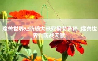 魔兽世界9.2防骑大米双橙装选择 (魔兽世界9.2防战天赋)