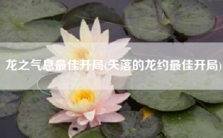 龙之气息最佳开局(失落的龙约最佳开局)