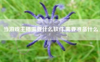 当游戏主播需要什么软件,需要准备什么