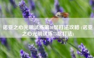 诺亚之心光明试炼第40层打法攻略 (诺亚之心光明试炼75层打法)