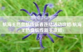 航海王热血航线新春连结活动攻略(航海王热血航线新手攻略)