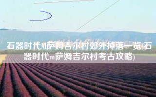 石器时代M萨姆吉尔村郊外掉落一览(石器时代m萨姆吉尔村考古攻略)