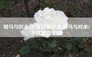骑马与砍杀2怎样招募俘虏(骑马与砍杀2怎样建立王国)