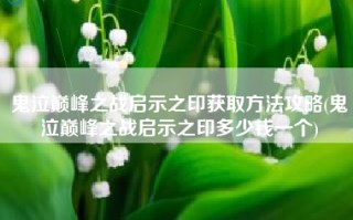 鬼泣巅峰之战启示之印获取方法攻略(鬼泣巅峰之战启示之印多少钱一个)