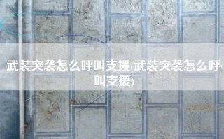 武装突袭怎么呼叫支援(武装突袭怎么呼叫支援)