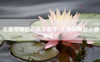 王者荣耀赵云铭文名字_王者荣耀赵云最强铭文