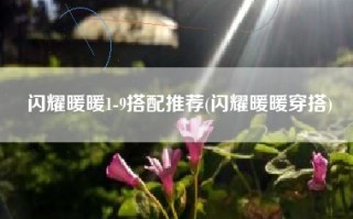 闪耀暖暖1-9搭配推荐(闪耀暖暖穿搭)